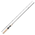 Casting Rod