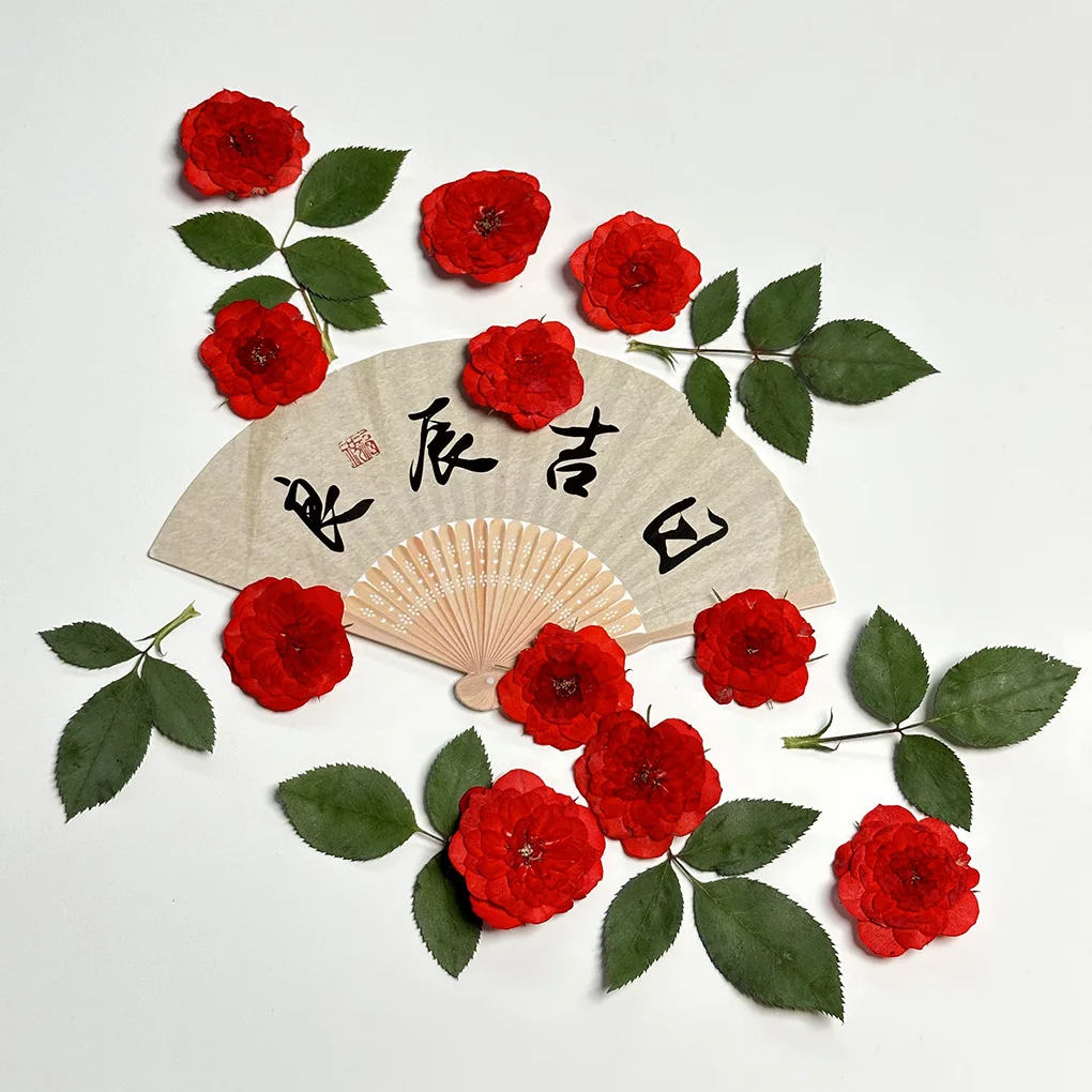 

Real Plant Red Rose Pressed Flowers, Real Flower Pressed Flower Frame Painting, Resin Necklace Children's Crafts, Phone Case DIY Materials