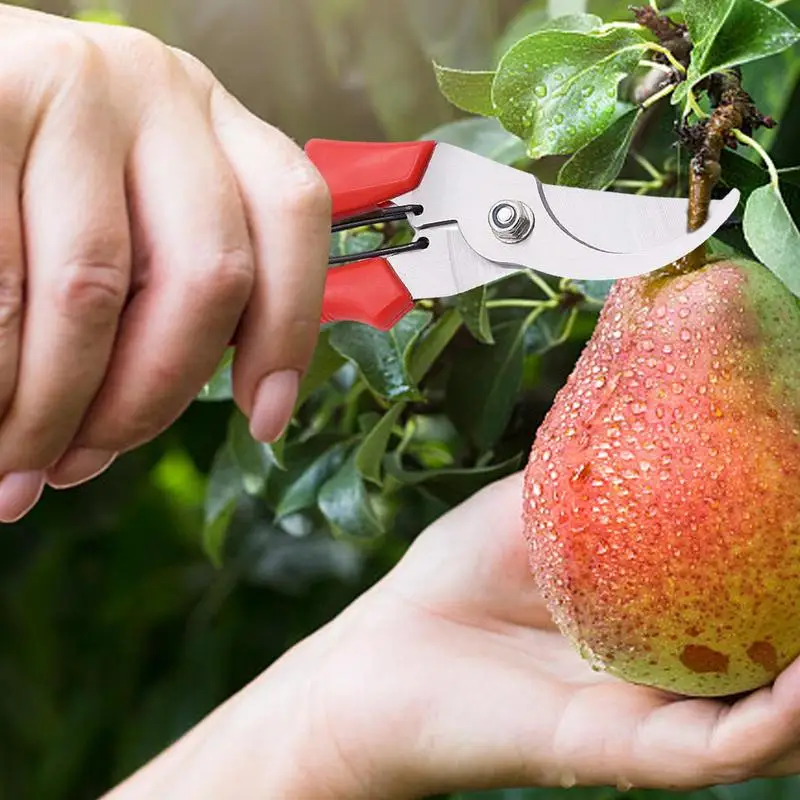 Pruner Garden Scissors Stainless Steel Pruning Shears For Tree Trimming Tree Trimmers Secateurs For Fruit Tree Plant Flowers