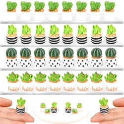 Creative Simulation Cactus Succulent Plant Decor Car Computer Decoration Ornament Decorative Crafts Home Artificial Mini Potting