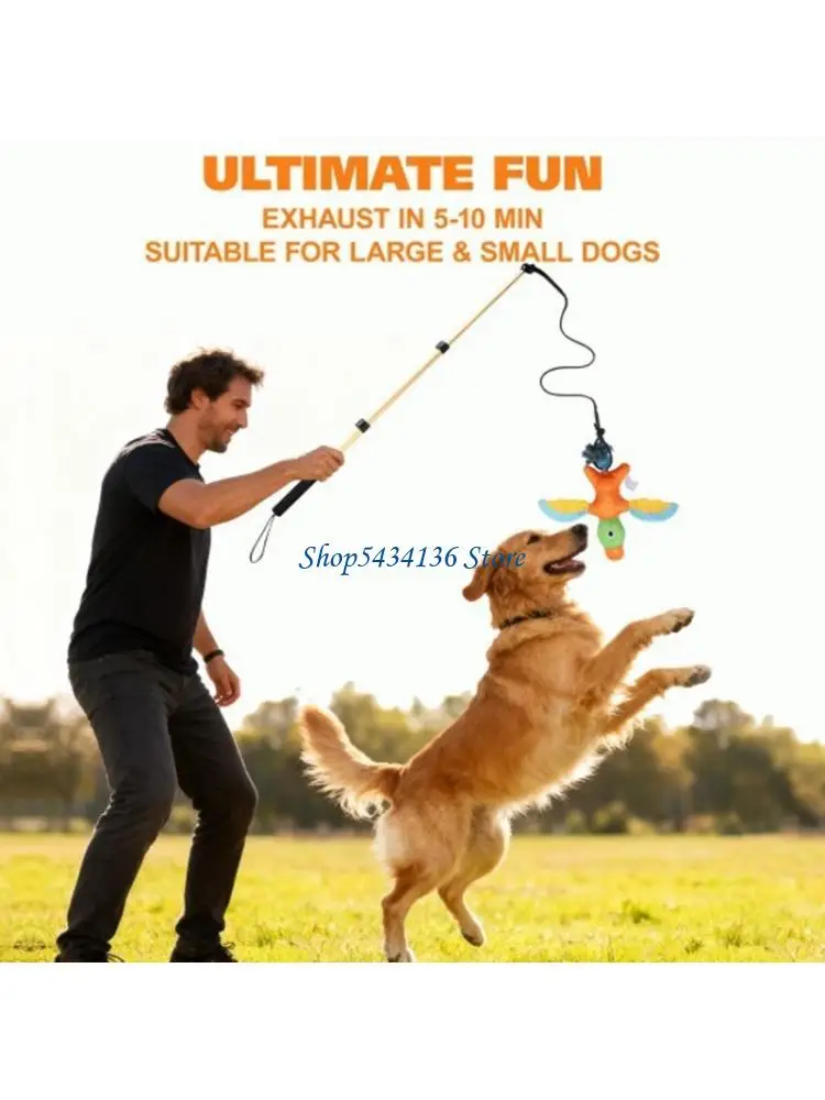 H7ED 7lots Interactively Dog Toy Collection with Flirts Poles Mental Stimulation Toy