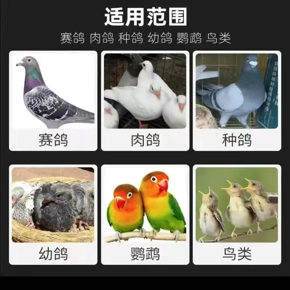 Pigeon Antiviral Chinese Medicine Powder for Pigeon Plague New Castle Epidemic Relieve Diarrhea Fever Vomiting No EatingDogFence