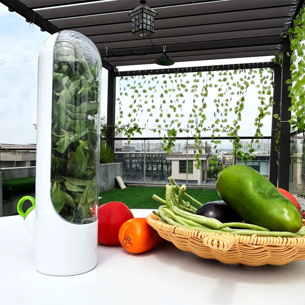 Multifunction Refrigerator Fruit Vegetable Crisper Vanilla Fresh Herb Keeper Herb Storage Container Kitchen Storage Utensil