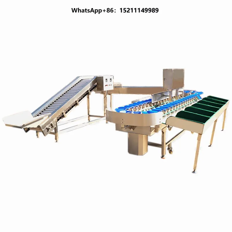 Potato  Onion Cherries Auto  Citrus Fruit Grader/shrimp Cashew Nut Prawn Grading Machine Automatic