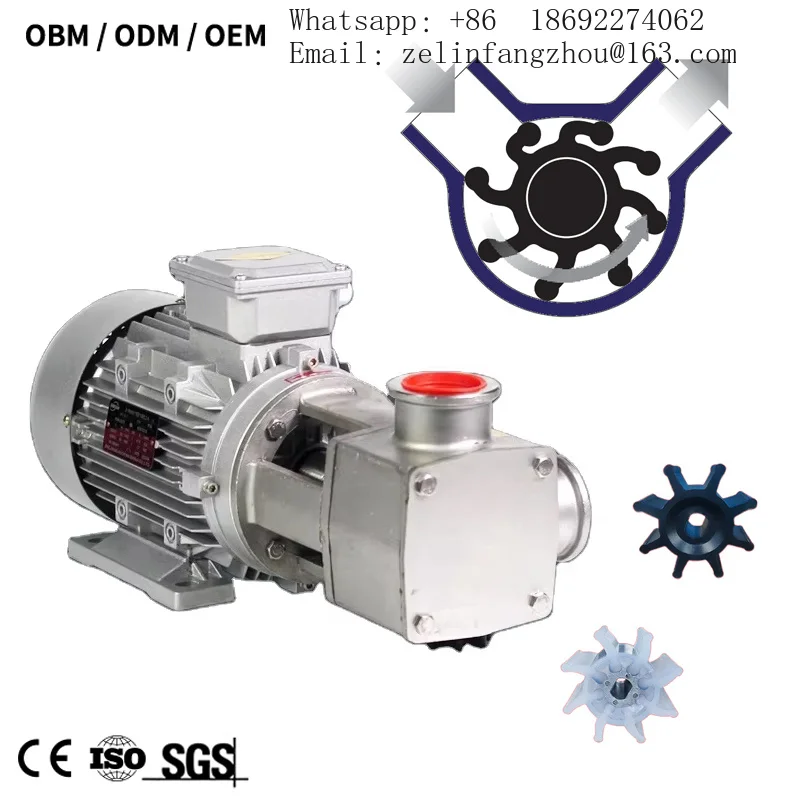 Sanitary Food Grade Stainless Steel Flexible Impeller Pump for Viscous Liquid Transfer CIP Heavy Duty Industrial Pro