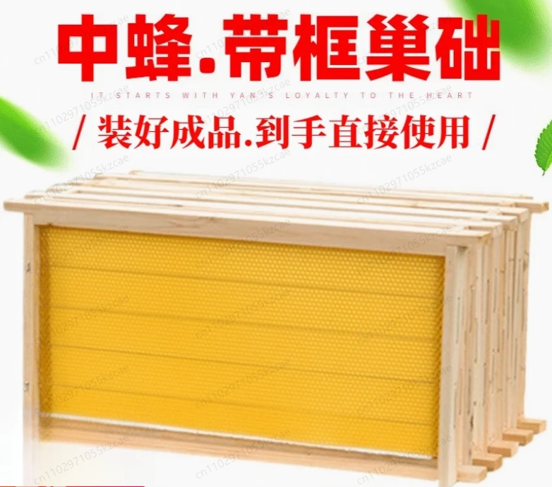 

Набор из 10 комплектов глубоких рамок с основанием для пчеловодства, рамок для улья и основания с деревянной пчелой