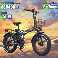 Electric Bike 750W Brushless Motor 48V40AH Lithium Battery Adult Electric Bicycle 20*4.0 Inch Fat Tire Foldable Mountain E-bike