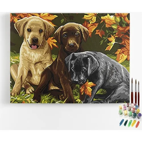 Fotoboya Sayılarla Table Painting Hobby Set 40x50 cm