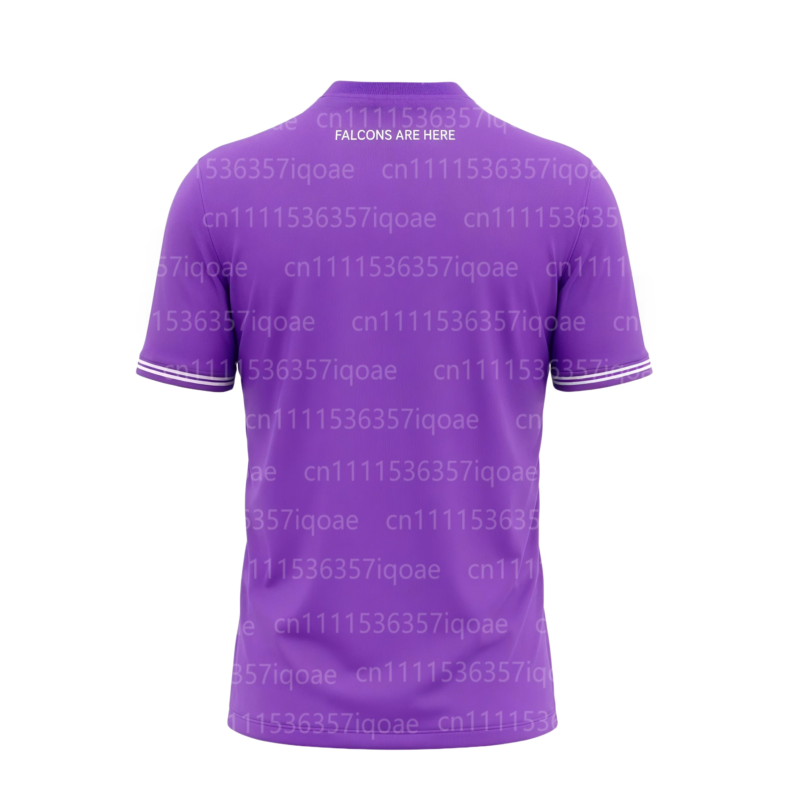 2026 Summer New Model Falcon Team Training Shirt - Men's and Women's Version - Daily Sports Short Sleeve - Customizable Jersey