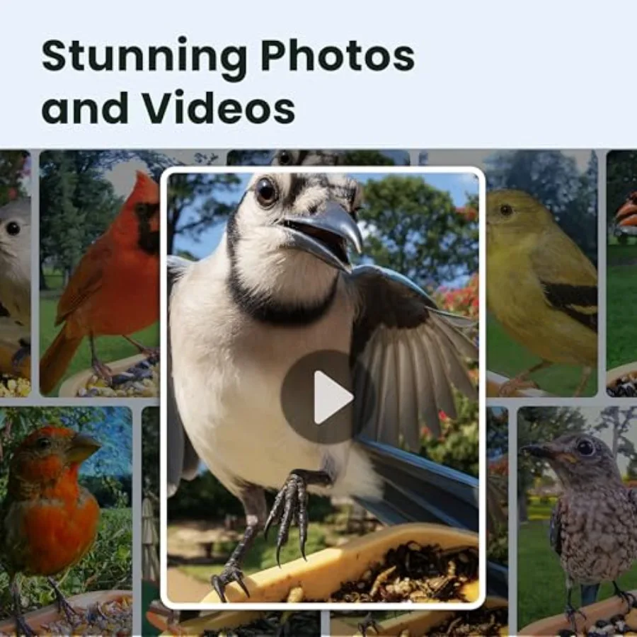 description