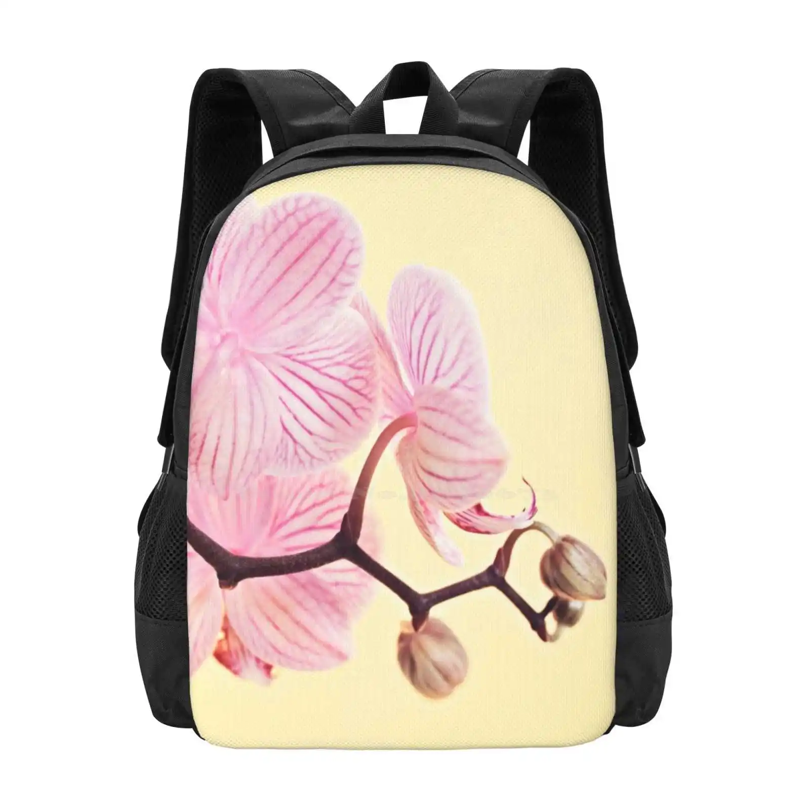 Pink Phalaenopsis Orchid Blossoms Hot Sale Schoolbag Backpack Fashion Bags Phalaenopsis Blooming No People Nobody Orchids