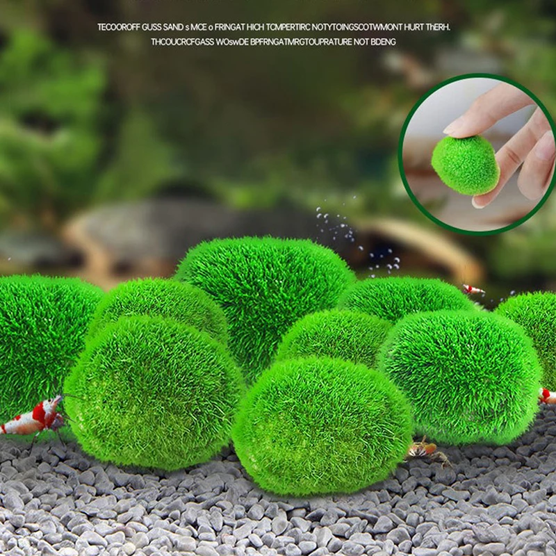 Marimo Moss Balls Live Aquarium Plant Algae Fish Shrimp Tank Ornament Simulation Green Algae Balls Artificial Plant