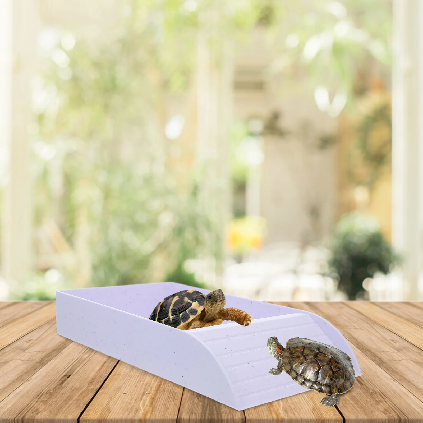 

Multifunctional Turtle Bathing Pool Aquarium Reptile Water Holder Feeding Dish Durable Abs Lightweight Portable Suitable All