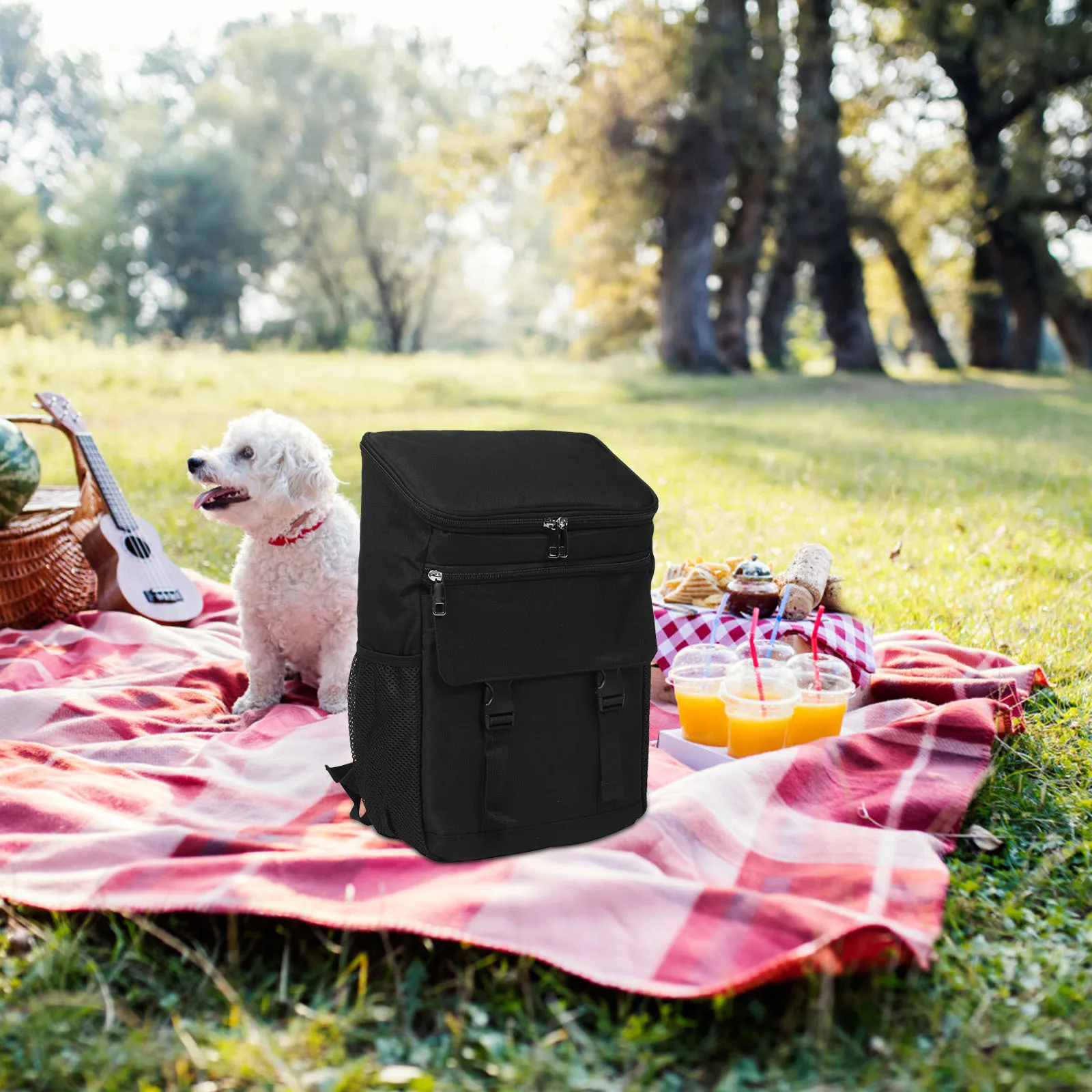 

Large Capacity Insulated Backpack Cooler Leakproof Thermal Bag for Picnic Camping Beach Travel Portable Waterproof Lunch Box