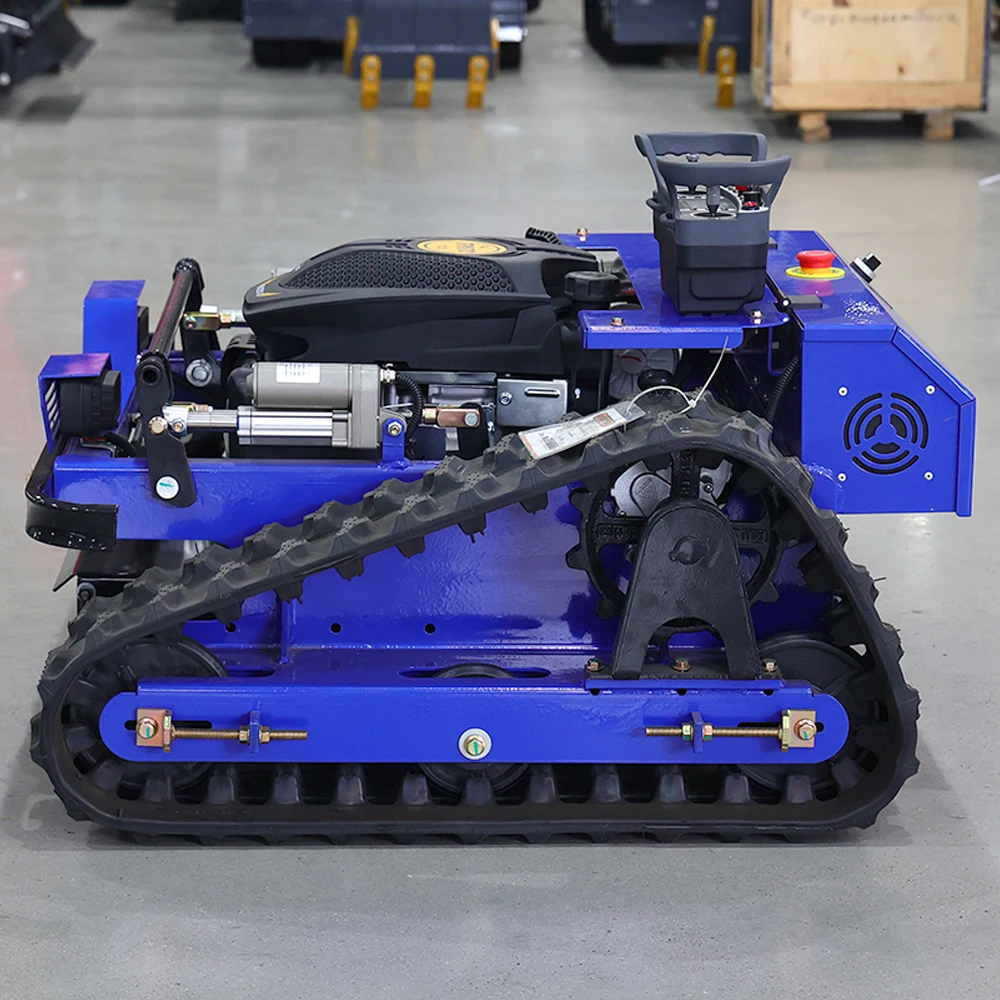 Customized Popular …