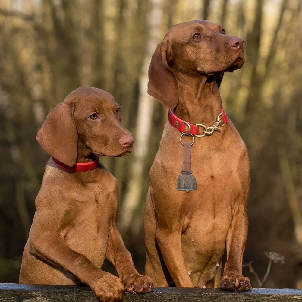 

Набор из 6 винтажных колокольчиков для собак и крупного рогатого скота, громкий и четкий звук, для защиты от потери, для активного отдыха, кемпинга, путешествий, подвесной на шею