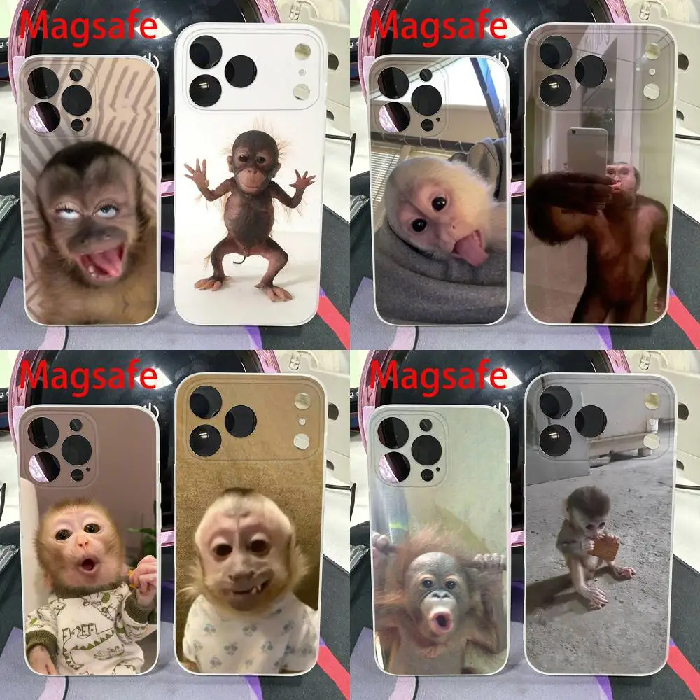 

Cute Funny Monkey Phone Case For iPhone 14,16,15,11,13,17,12,Air,Mini,Plus,E,Pro,Max Magnetic Magsafe Frosted Cover