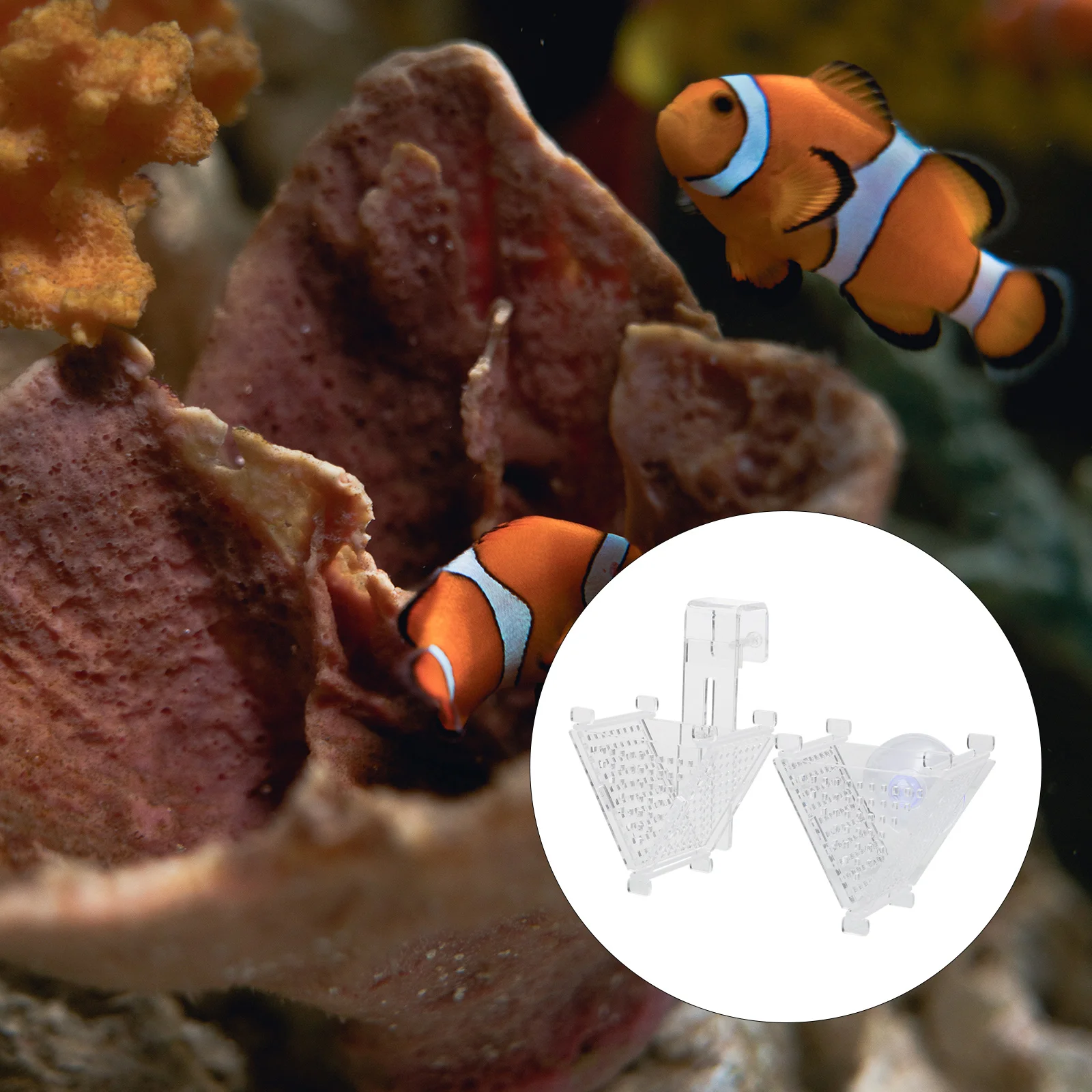 

2pcs Red Worm Red Worm Container Transparent Acrylic Fish Tank Feeding Cup Container for Aquarium Practical Durable Tool