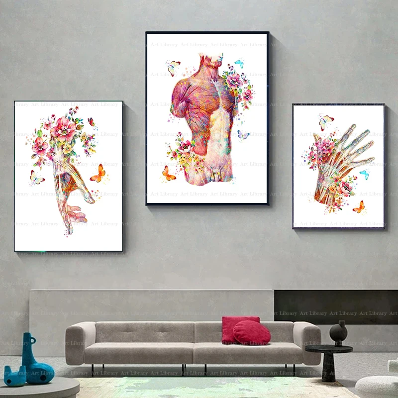 Human Muscle Anatomy Art Poster Musculoskeletal System Canvas Painting Wall Prints Medical Education Home Clinic Decor view 5