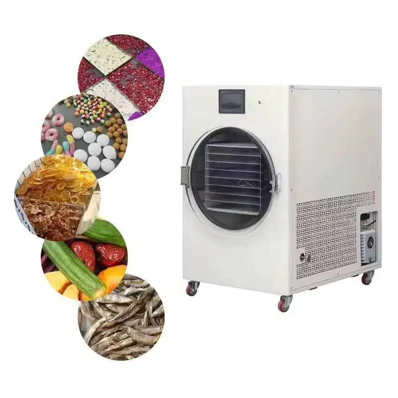 Lyophilisateur séchage de fruits et légumes, Machine de lyophilisation moyenne HFD-30 45kg lait viande fruits bonbons sous vide alimentaire Commercial