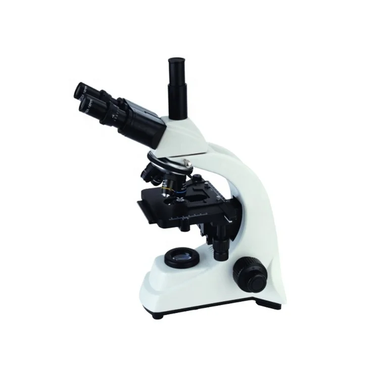 Digital biological microscope price/ binocular microscope MSL-500T