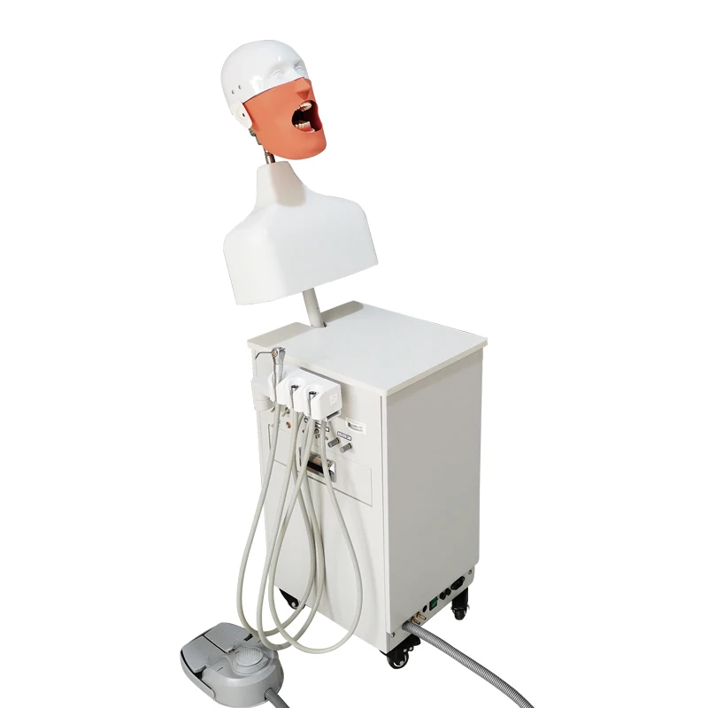 Medical Science  Simulator System For Training