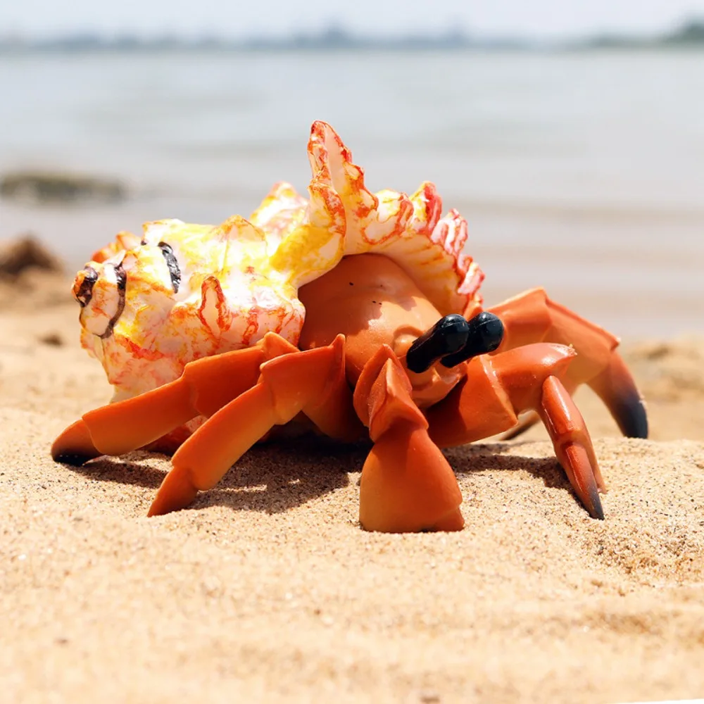 

Realistic Animal Model Hermit Crab Model Figurines Sea Life Toys Solid Plastic Marine Plastic Toys Kids Gift