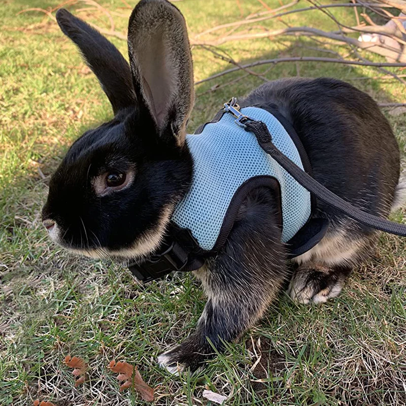 Mesh Breathable Ferret Bunny Harness Leash Set for Small Animals Rabbit Hamsters Summer Walking Breathable Mesh Pet Harness