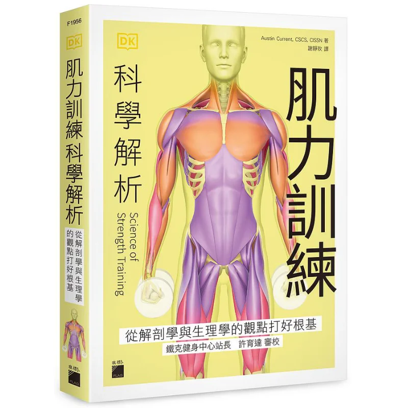 

Scientific Analysis Of Muscle Strength Training Laying A Solid Foundation From The Perspectives Of Anatomy And Physiology