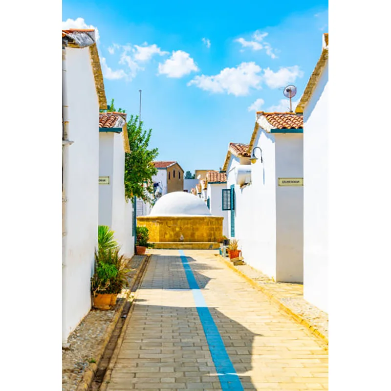 XC-09พื้นหลังสำหรับถ่ายภาพปาร์ตี้วันหยุดทะเลกรีกซานโตรินีดอกไม้สถาปัตยกรรมเมืองเบย์