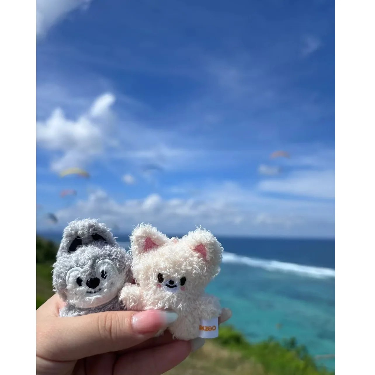 

Staykids SKZ Mini Keychain Pendant New SKzoo FM Field Week 5cm Plush Cartoon Cute Pendant Children's Birthday Toy， fan gifts