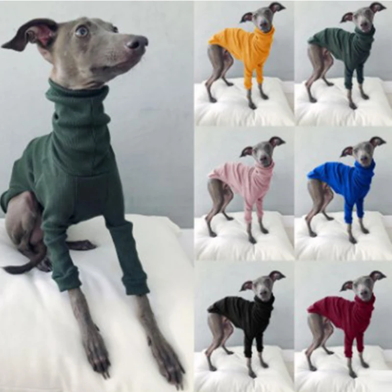 Abrigo de cuello alto de algodón para perros tipo galgo whippet_voghion.com