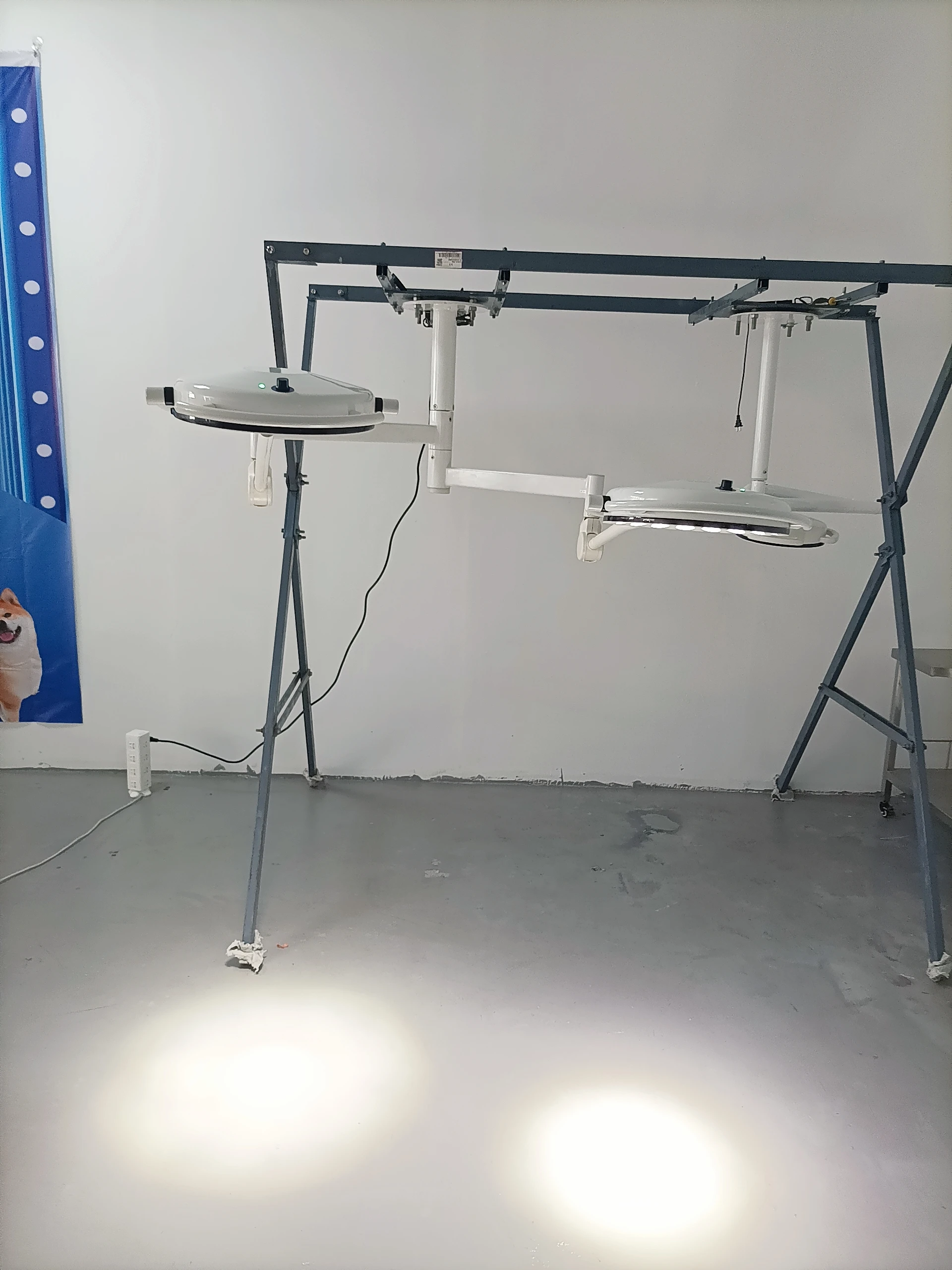 VET Medical Equipment Wall Bracket Surgical Room Led Light Double Dome Operation Ceiling Operating Lamp