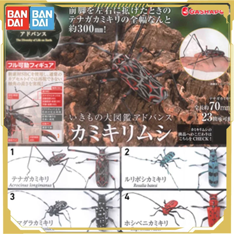 

Bandai Original Gashapon Biological Atlas Anoplophora Glabra Anoplophora Purpurea Action Figure Toys for Boys Girls Kids Gift