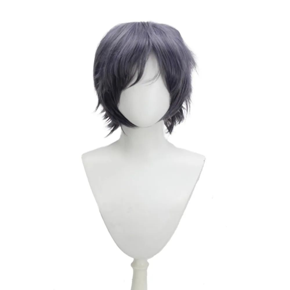 Perruque de cosplay FFXV Noctis - Perruque synthétique de cheveux d'anime Final Fantasy 15 Prince bleu gris