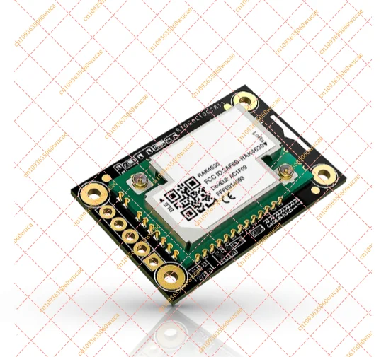 Nordic nRF52840 BLE Core Module with LoRa SX1262 for LoRaWAN Wireless IoT