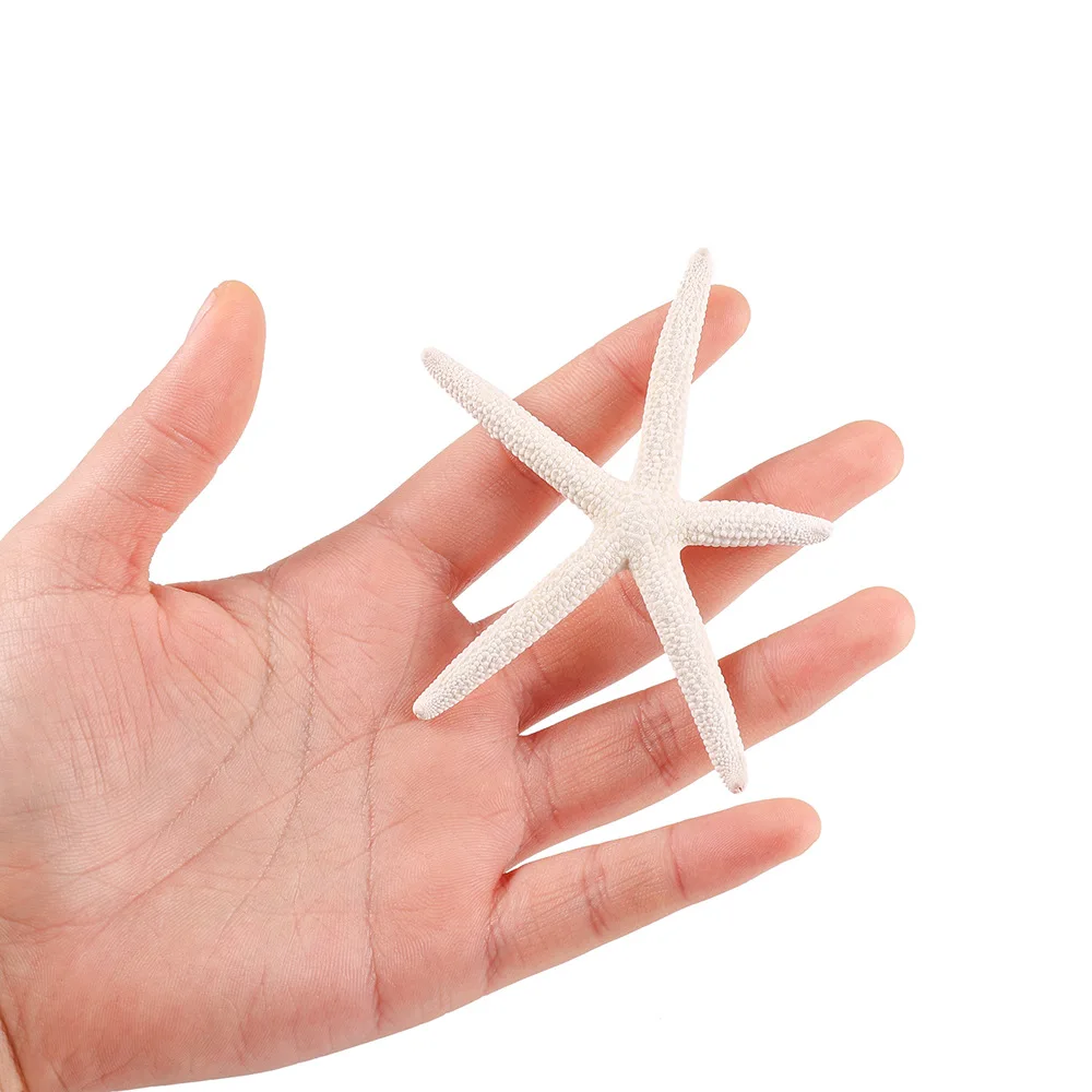 1pcs Hot Selling shells, Natural Five Finger starfish, 7-10cm Jewelry accessories, DIY aquarium, Fish tank, Landscape Design