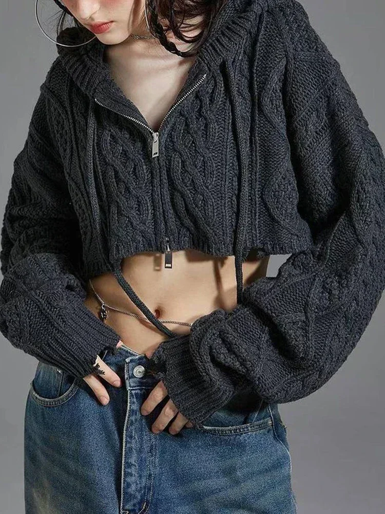 Solid Hoodie Sweaters Women Autumn Winter Casual Knitted Loose Crop Sweater Coat Vintage Korean Female Hooded Knitwear