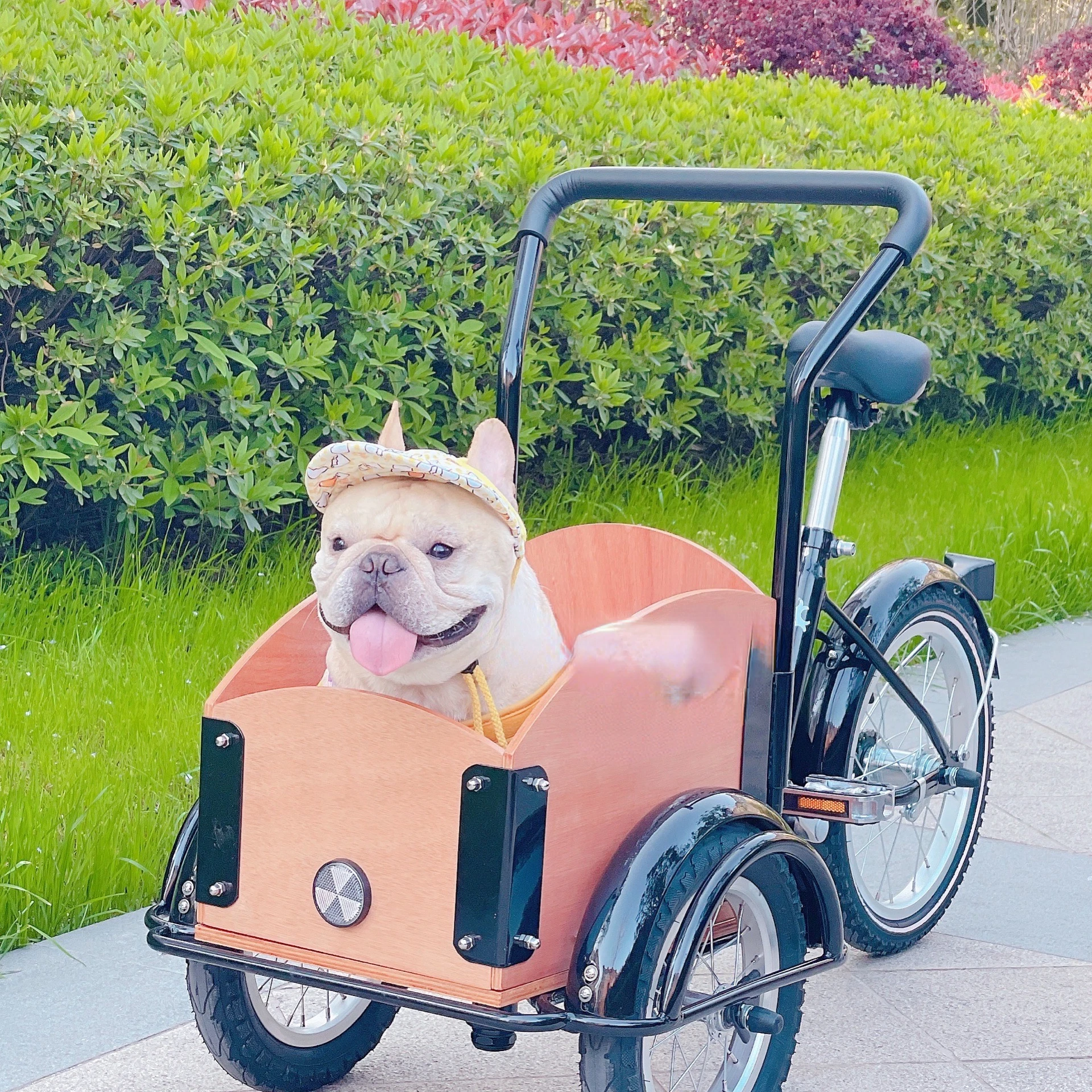 Pet Mini Scooter Can Take Bicycle  dog accessories    dog car accessories