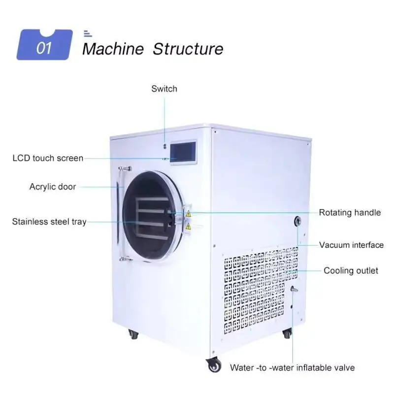

Continuous Drying Machine Portable Food Vacuum Freeze Dryer Automatic Food Freezer, Household Freeze Dryer