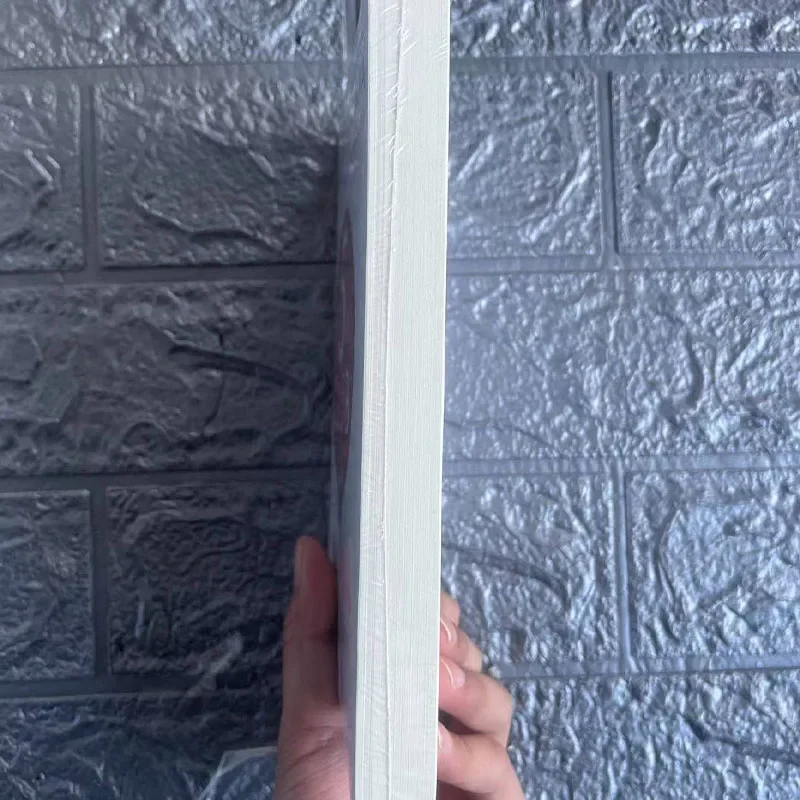 2026El Club de 5AM de Robin Sharma Propiedad tu mañana Eleve tu vida Libro en inglés psicología libros libros libros