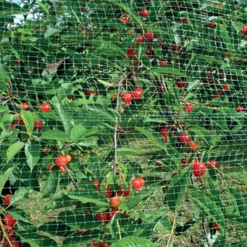 Protective Garden Netting 15X15mm 2X3m Green Bird Net For Trees,Shrubs Berries, Seedlings And Other Plants-[Toolmr A83]