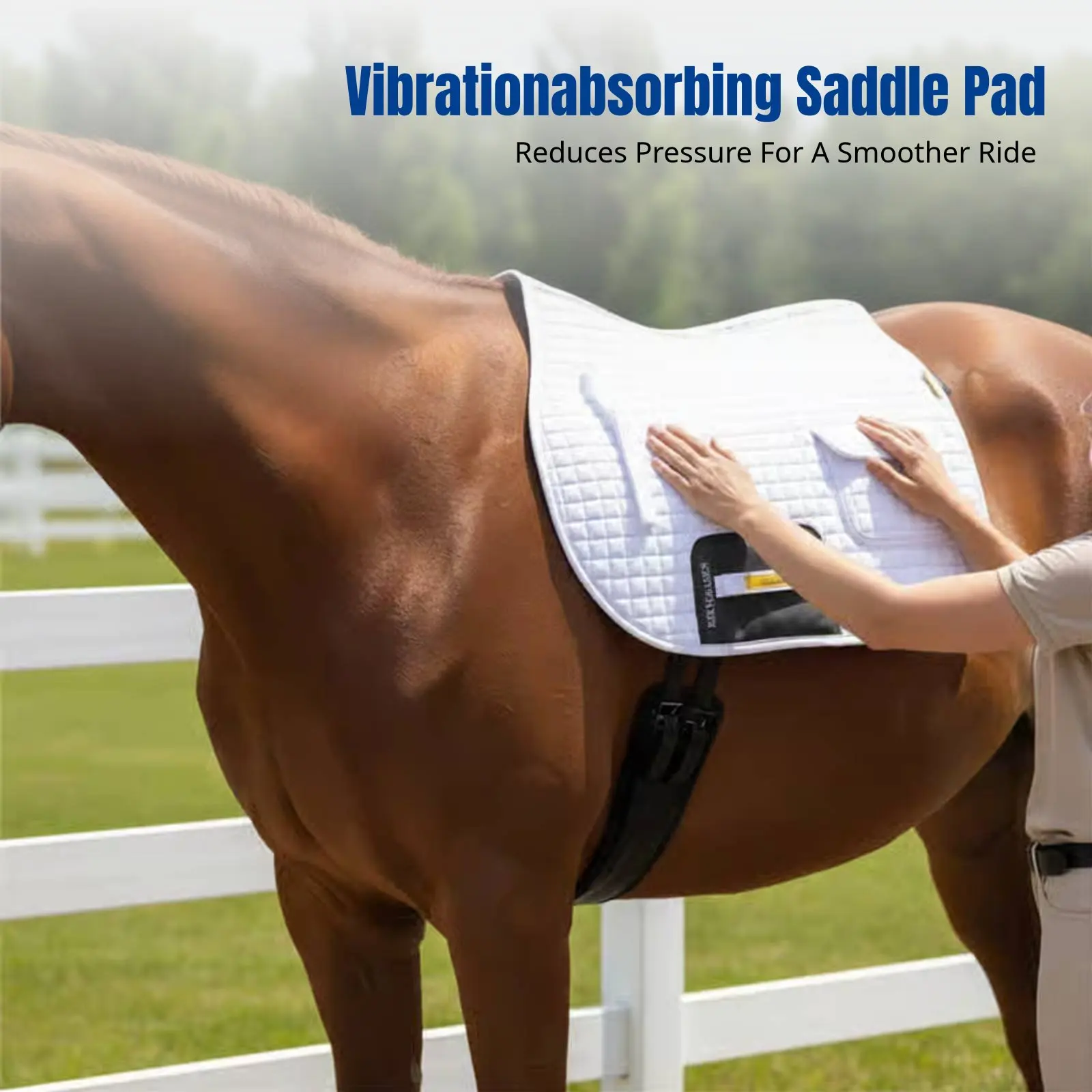 

3D Moisture Wicking Saddle Pad, Vibration Absorbing Sweat Liner Equestrian Pad, Multi-Color for Horse Sports