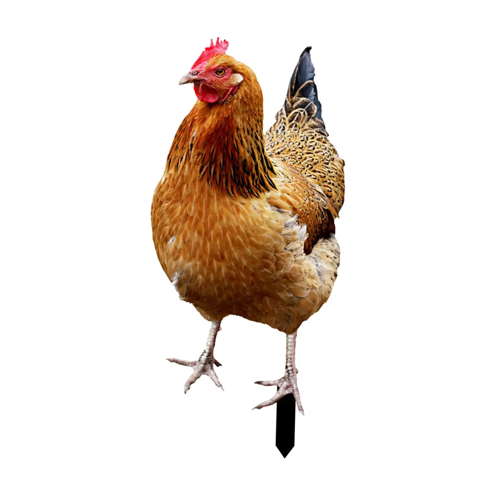 Farmhouse Hen Yard Decoration Metal Garden Stake Animal Ornament for Outdoor Backyard Pathway Gift