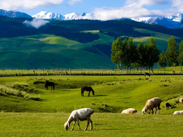 4PCS 130Mm 2.2" Rc … - image