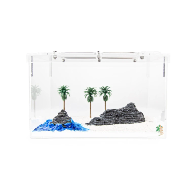 Beach Design Palm Trees Ant Formicarium Bedroom Decor