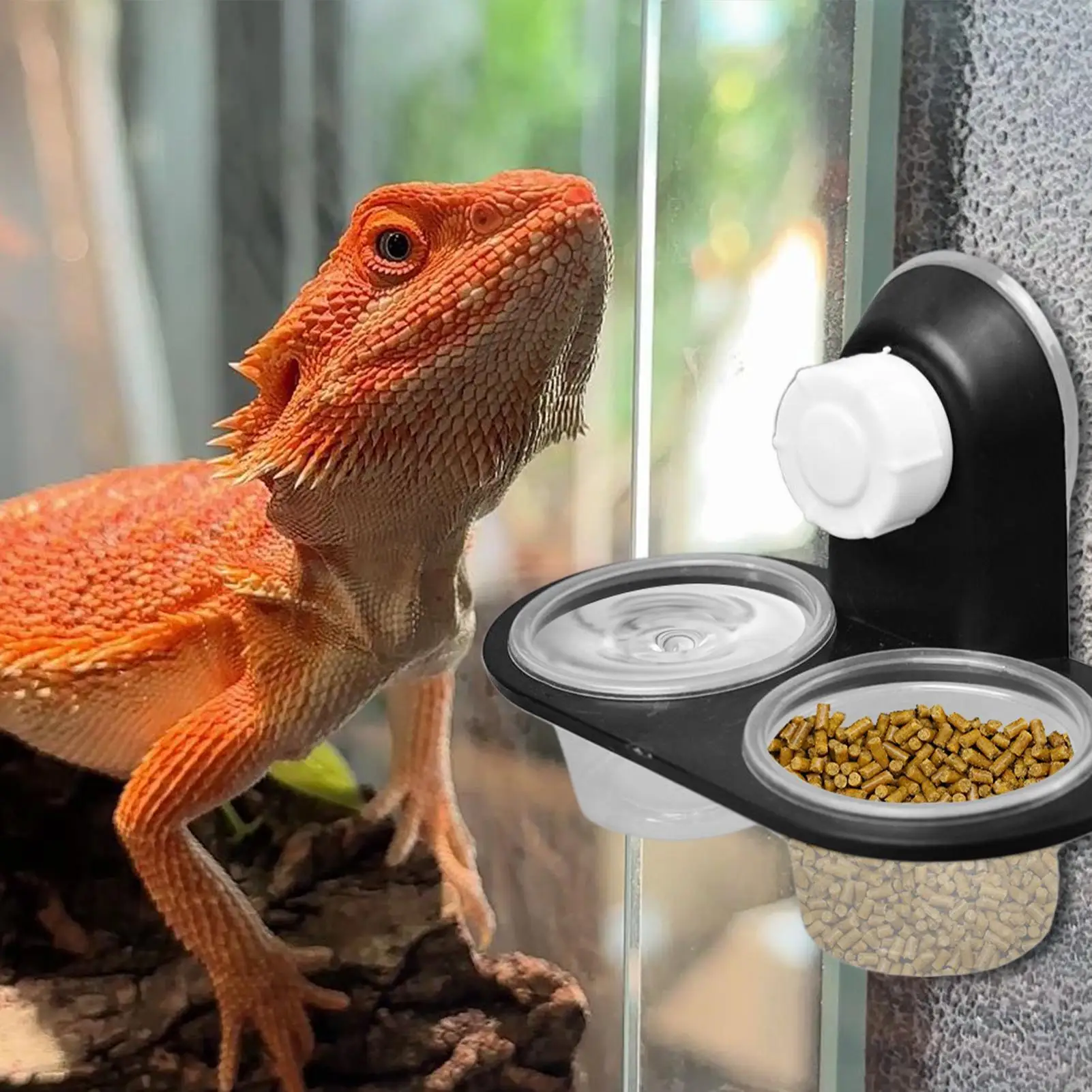 Gecko Food Dish Gecko Feeding Cups Dispenser Convenient cleaning durable with 4 Cups Tray for Tarantula Frog Lizard Hermit Crab
