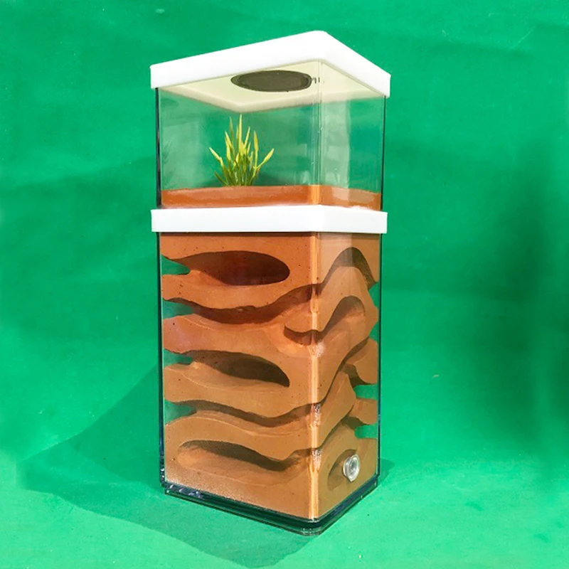 Plaster Ant Farm High Moisture Insect Hotel Castle Ecological Ant Nest Pet Anthill Workshop Ant House Village with Feeding Area