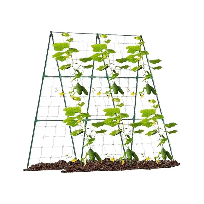 Garden Cucumber Trellis Fruits Vegetable Growing Support Rack for Outdoor Climbing Grape Pea Bean Tomato Cucumber