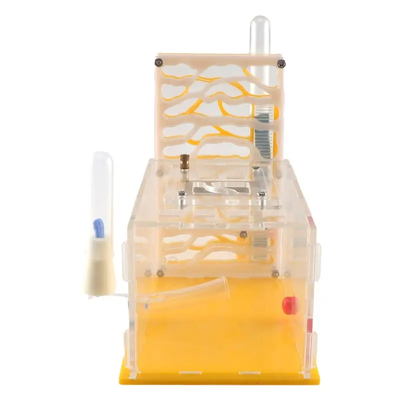 Ab35-Ant Nest T-Des… - image